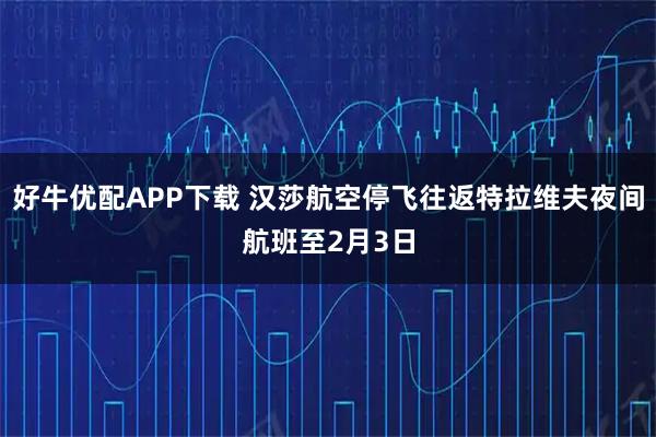 好牛优配APP下载 汉莎航空停飞往返特拉维夫夜间航班至2月3日