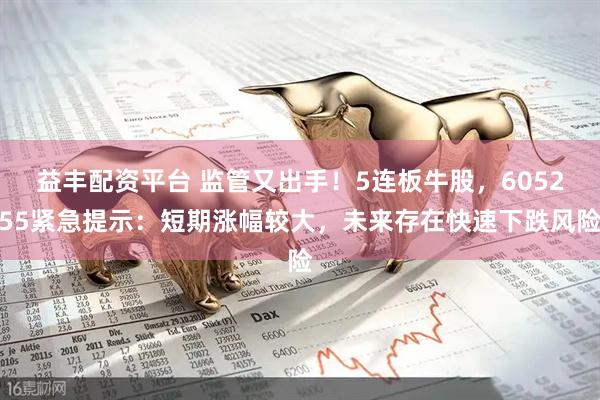 益丰配资平台 监管又出手！5连板牛股，605255紧急提示：短期涨幅较大，未来存在快速下跌风险